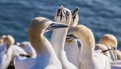 云南高价上海医保提取2025的最新政策(2025年云南上海医保怎么提取现金分享)