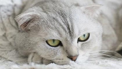 云南高价100块钱过夜的联系方式的最新政策(2025年云南附近快餐3小时400元不限次数分享)