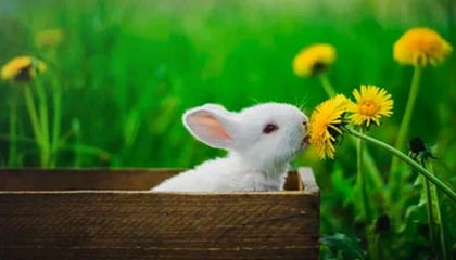 云南高价上海医保提取2025的最新政策(2025年云南上海医保怎么提取现金分享)